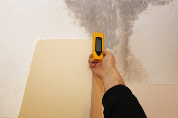 Best Mold Removal for HVAC Installations  in Singac, NJ