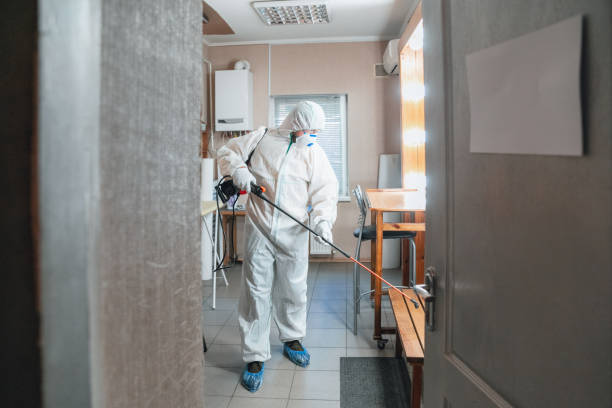 Best Emergency Mold Remediation  in Singac, NJ