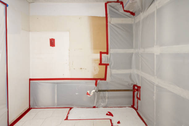 Best Biohazard Mold Removal  in Singac, NJ