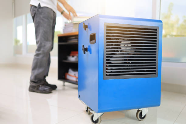 Dehumidification Services in Singac, NJ